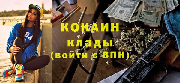 прущие крисы Болотное