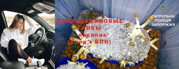 дурь Нефтекумск