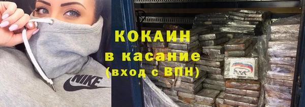 сатива Абаза