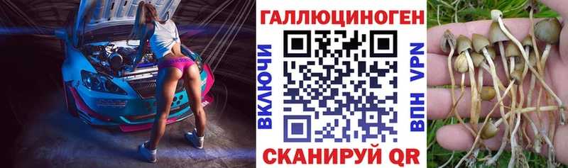 Псилоцибиновые грибы GOLDEN TEACHER  закладки  Сычёвка 