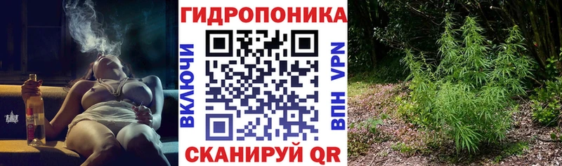 Канабис VHQ  дарнет шоп  Сычёвка 